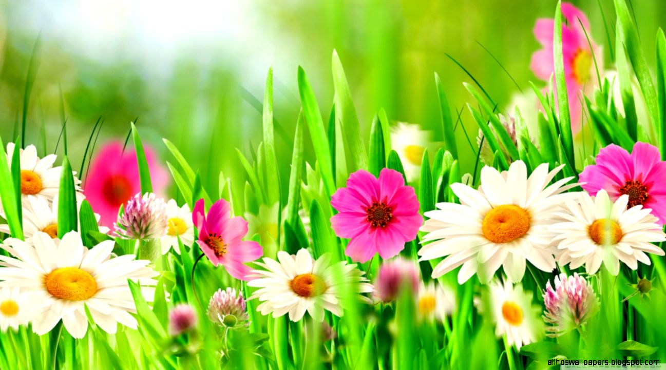 Easter Sunday 2014 HD desktop wallpaper Widescreen High Easter Sunday 2014 HD desktop wallpaper Widescreen High