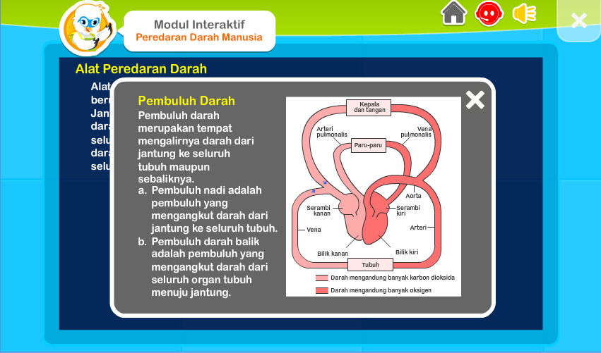 Image Result For Cara Menjaga Kesehatan Jantung Dan Peredaran Darah Image Result For Cara Menjaga Kesehatan Jantung Dan Peredaran Darah