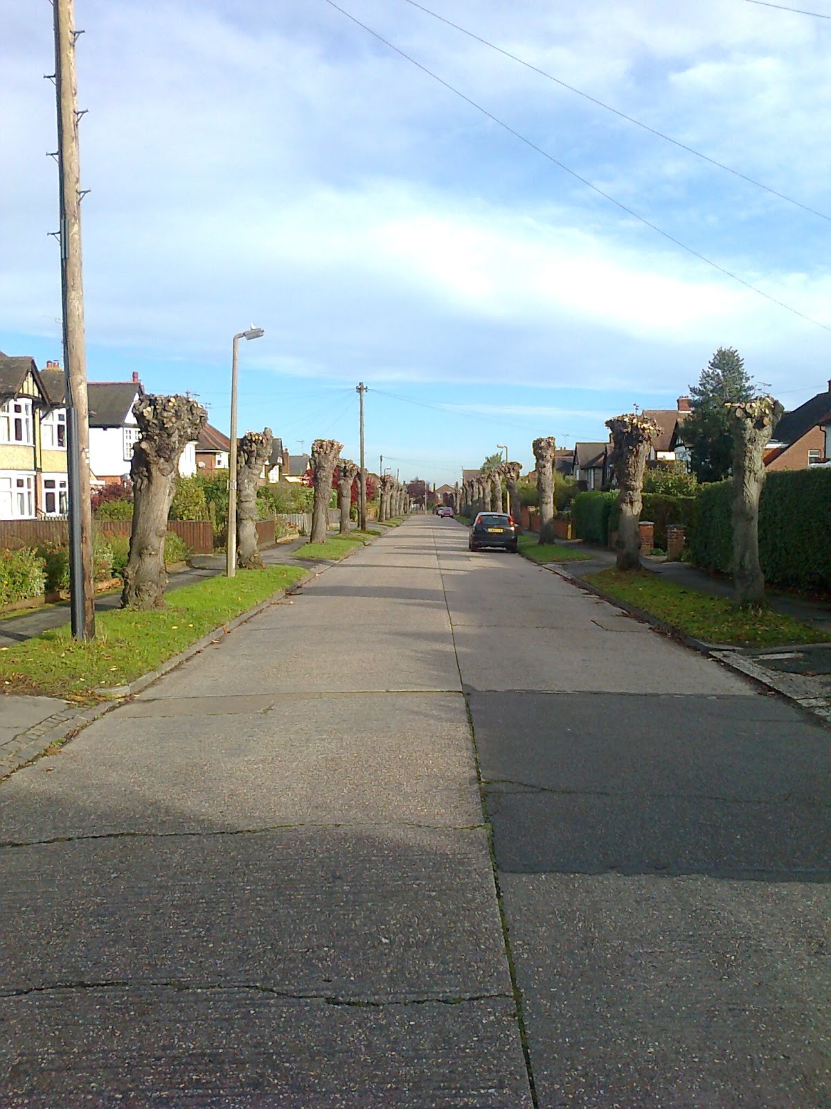 Great Baddow Autumn Scenes In Great Baddow