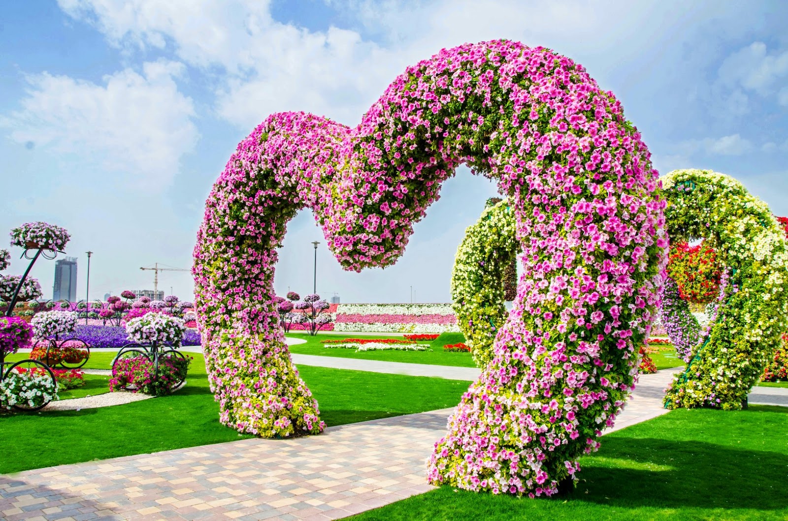 Ngàn hoa khoe sắc giữa sa mạc 7 Dubai Miracle Garden 3