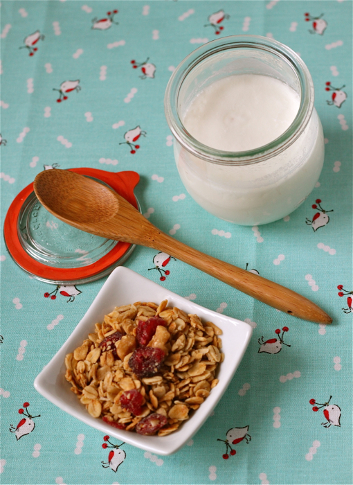 Individual yogurt cups Yankee Kitchen Ninja