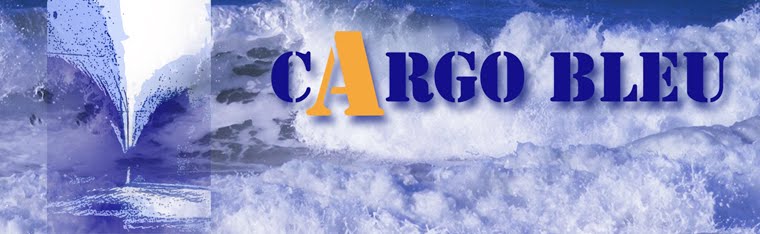 EQUIPAGE CARGO BLEU