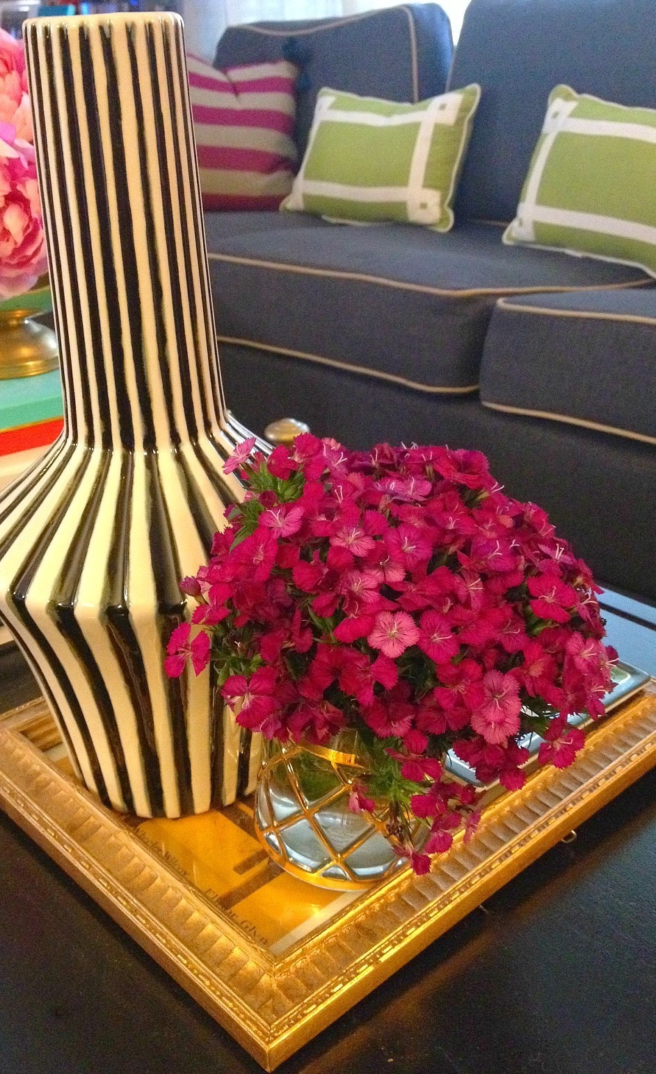 sadie + stella JCPenney Say Hello to my Dream Home