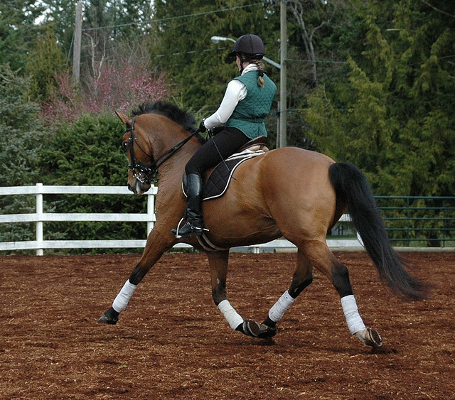 The Difference Between Jodhpurs and Breeches WhatLauraLoves