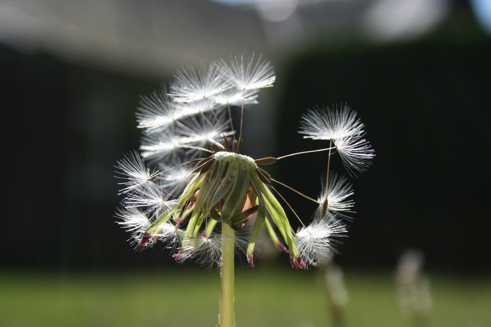 Nature Changing