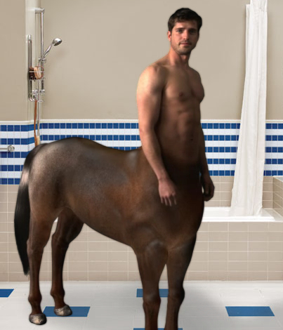 men and horse