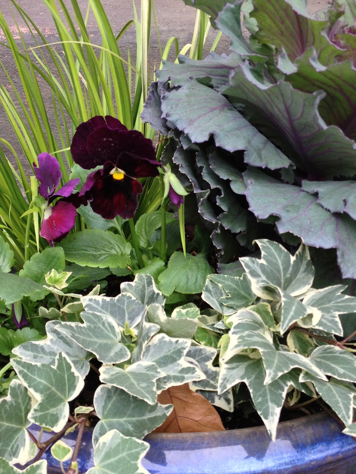 Seeds and Spores Cold Weather Planters