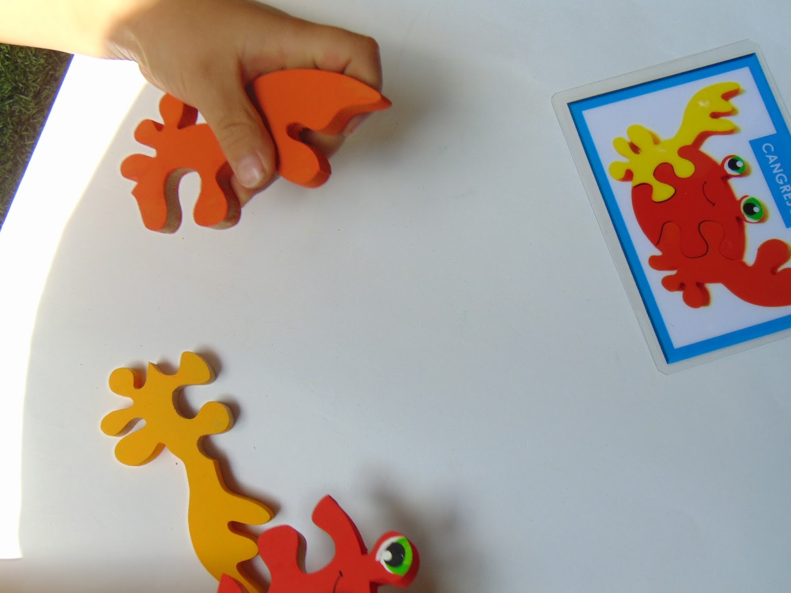 Aprendizaje y Desarrollo Infantil BENEFICIOS DE ARMAR ROMPECABEZAS