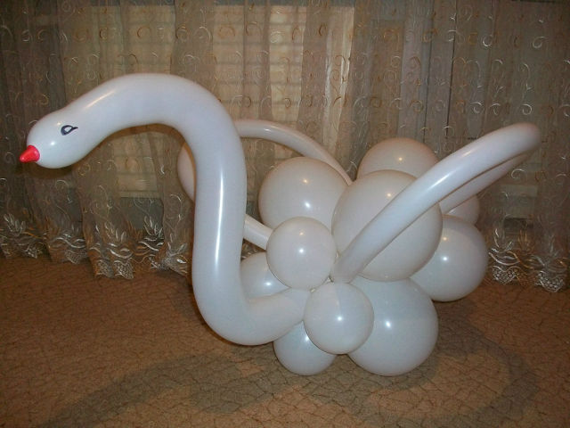 Лебедь из воздушных шаров пошаговое фото