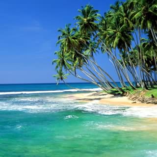 Beauty of Lanka - Beach