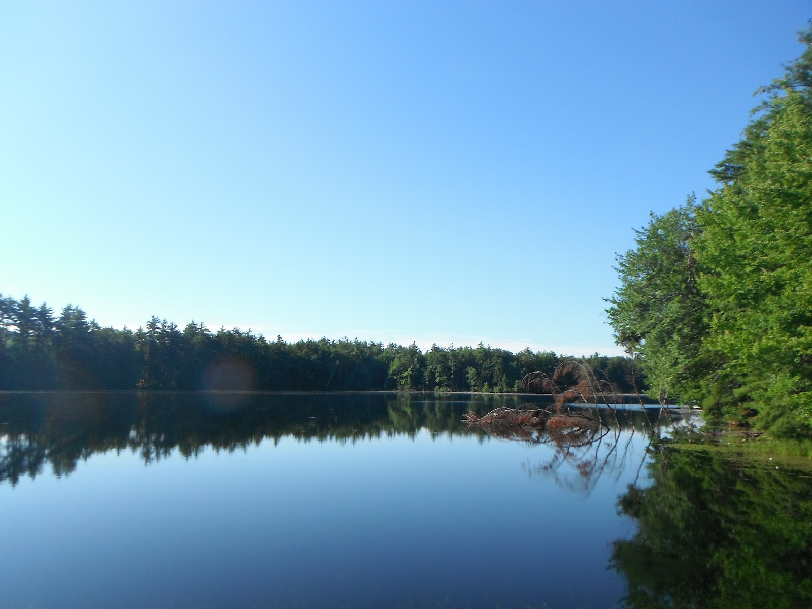 Exploring Massachusetts July 21st 2012 Biking at Otter River State Forest