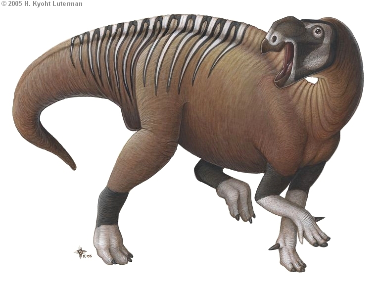 Luterman-Muttaburrasaurus.jpg