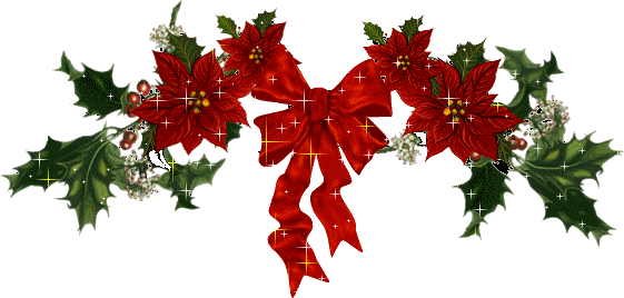 LUNEDI 3 DICEMBRE Stelle+di+natale