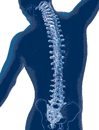 backbone surgery