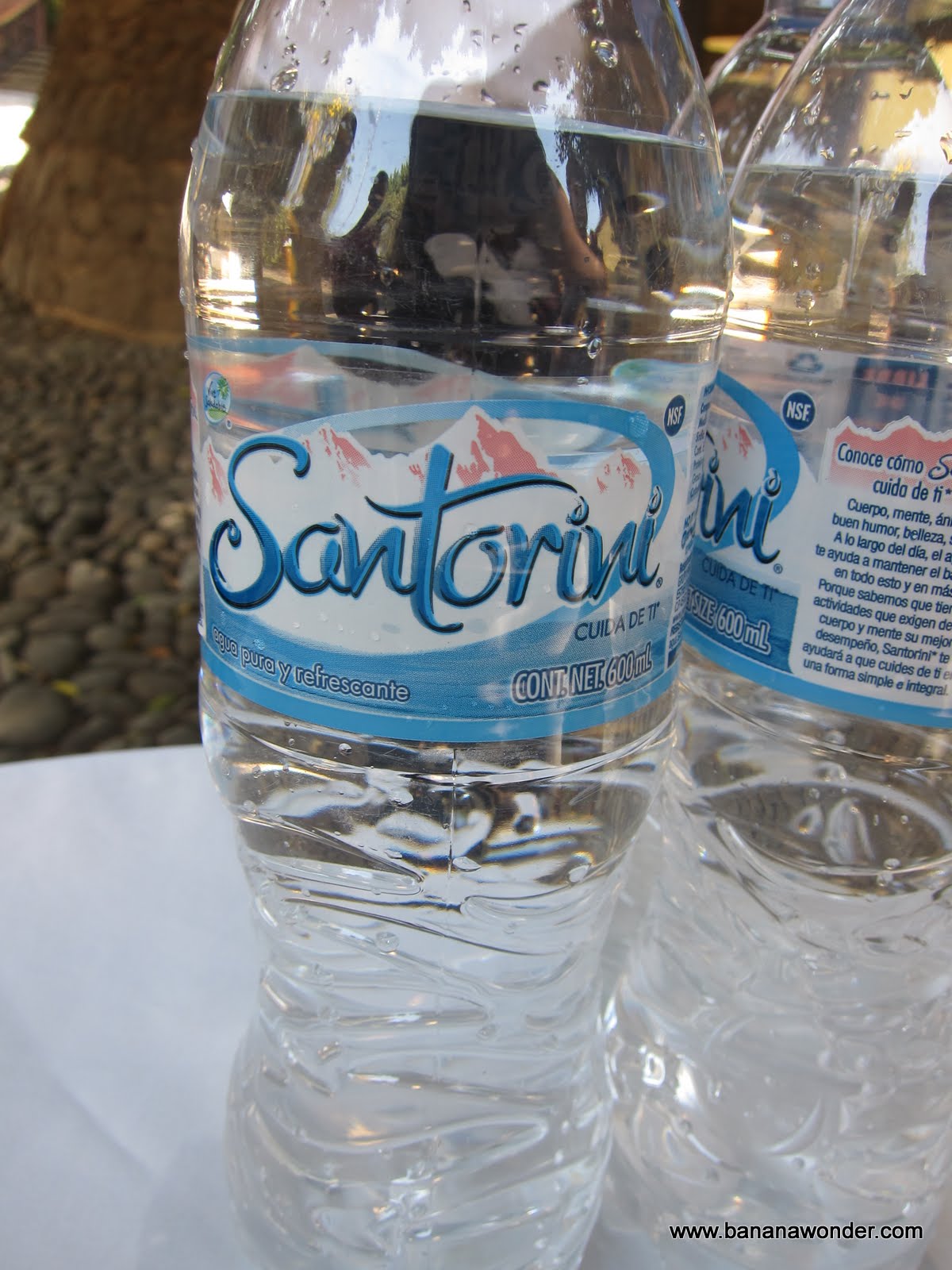 Banana Wonder Virtual Tour of the Herradura Tequila Factory