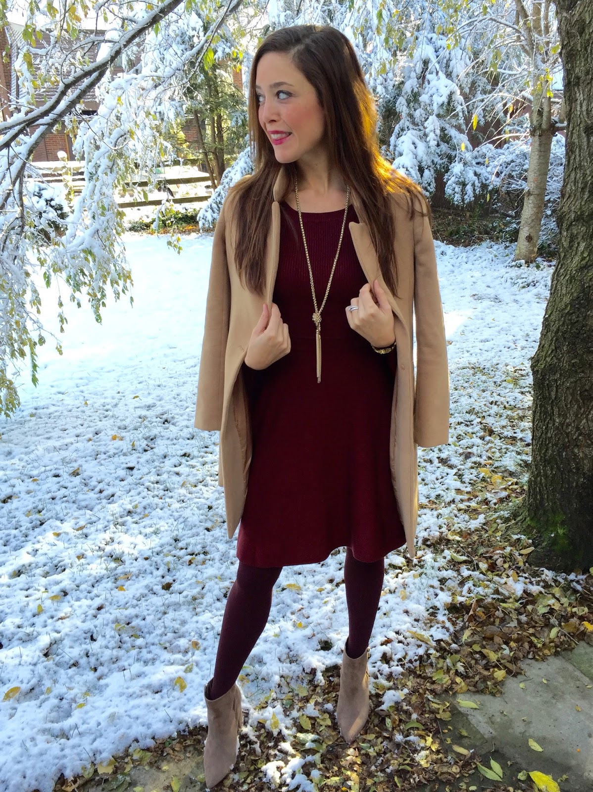 fit and flare dress with tights