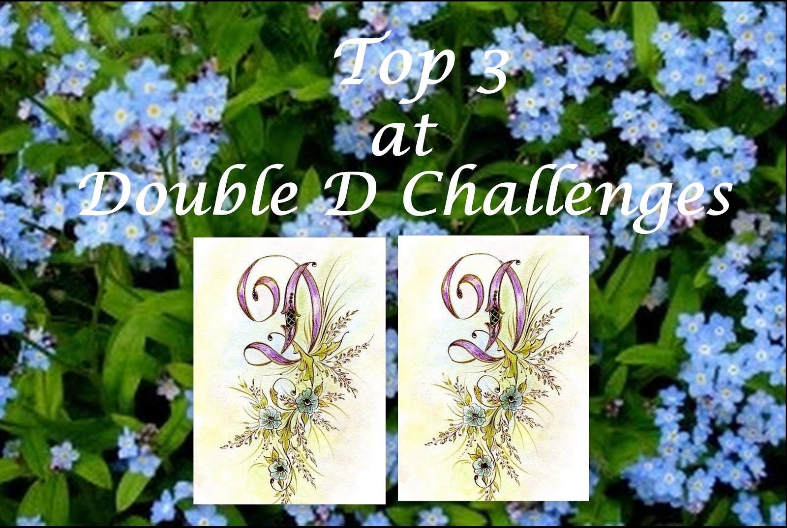 Double D Challenges - Anything Wedding