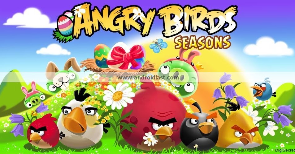 Birds Birds