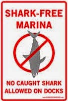 Shark Free Marina