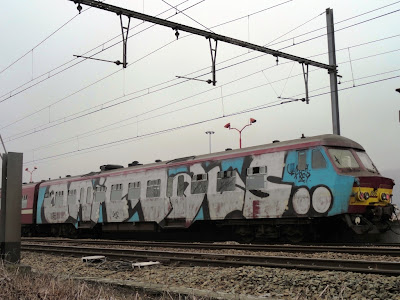 WOLECAR ANIMALS