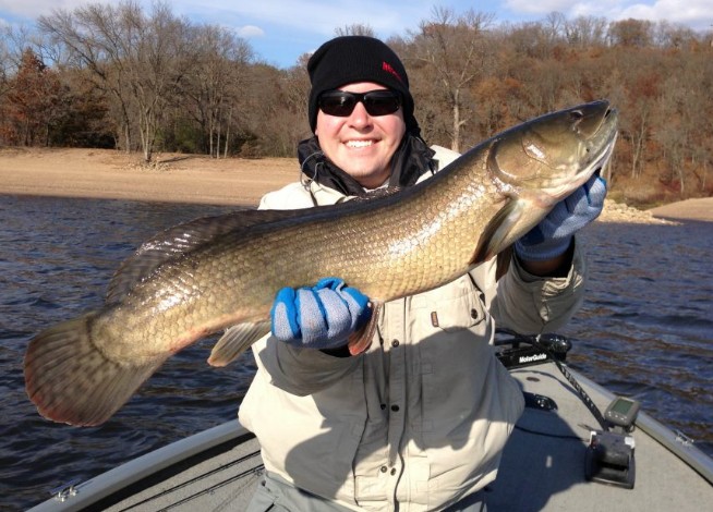 Record Bowfin