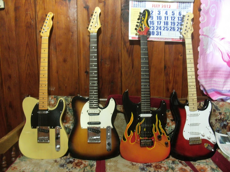 My Project Guitars 2012