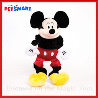 Mickey Mouse Toy ~ Focused on the Magic