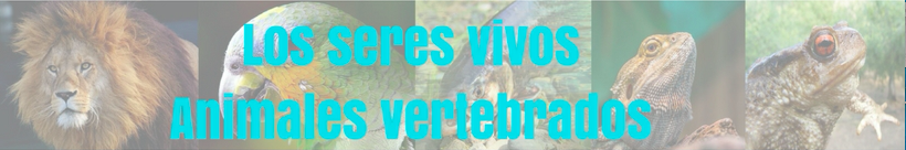 LOS SERES VIVOS - ANIMALES VERTEBRADOS                                             