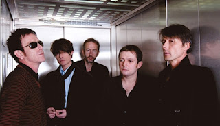 Suede Low Cost+%25281%2529