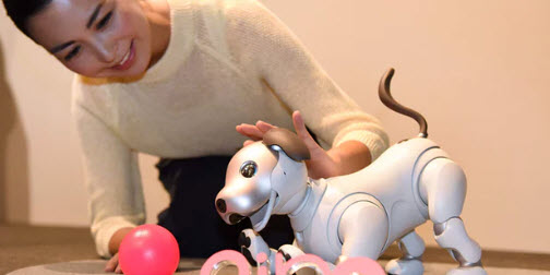 Sony brings its AI-infused robotic dog Aibo back from the dead