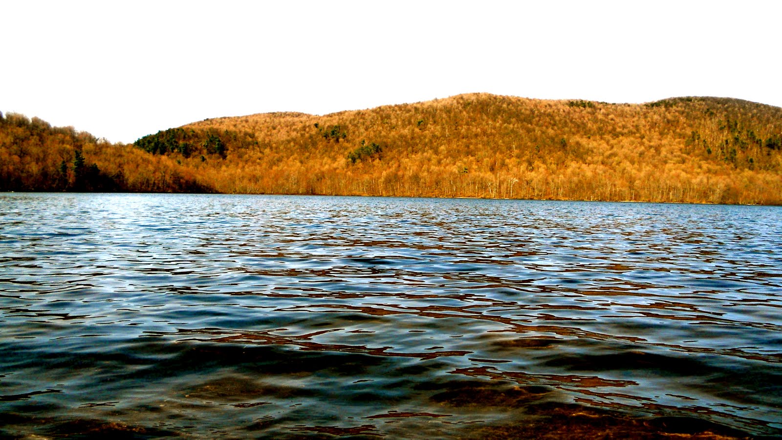 Province canadienne Parc Naturel du Mont SaintHilaire (centre de la