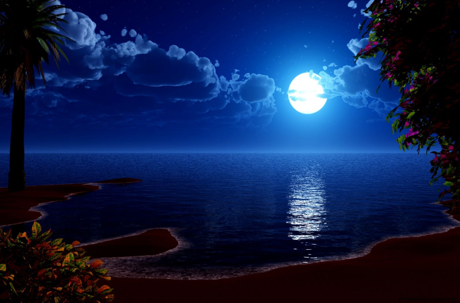 Beautiful Beach at Night Moon HD Beautiful Beach at Night Moon HD