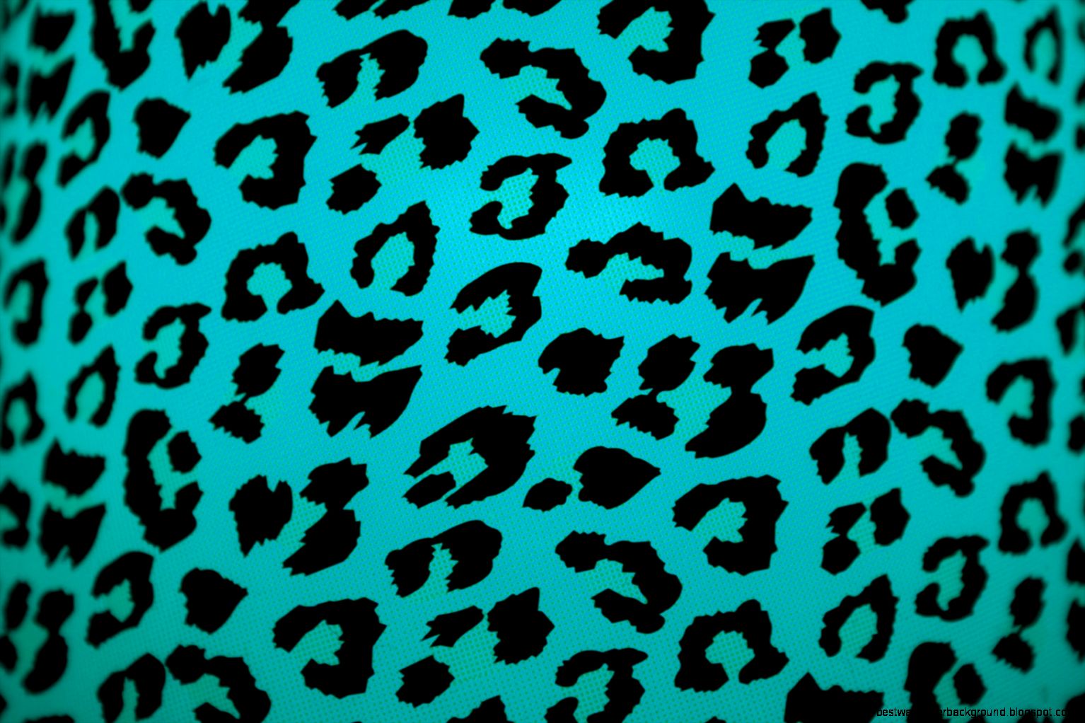 Animal Print Wallpaper Free Download Animal Print Wallpaper Free Download