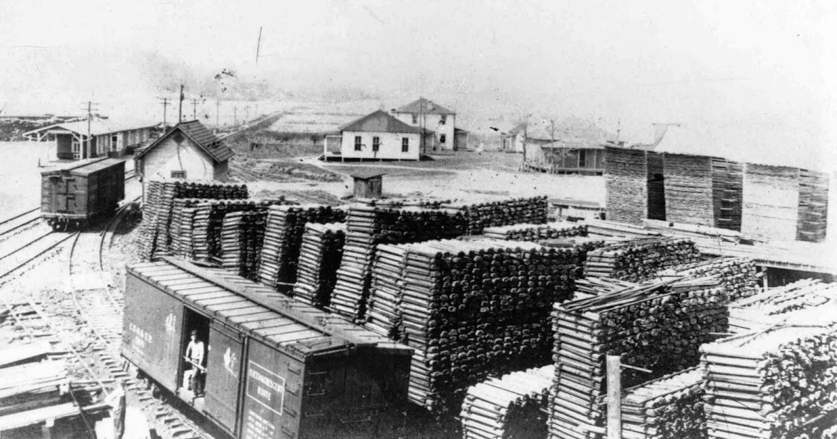 The Rowell Bosse North Carolina Room Saw Mill, Lumber Yard and General