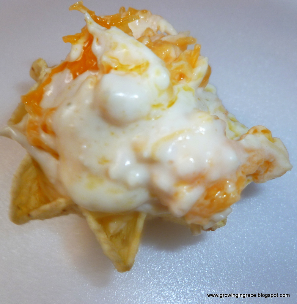 Growing in Grace Cheesy Chicken Dip with Tostitos Chips