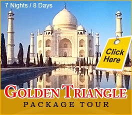 Golden triangle tour ppackage