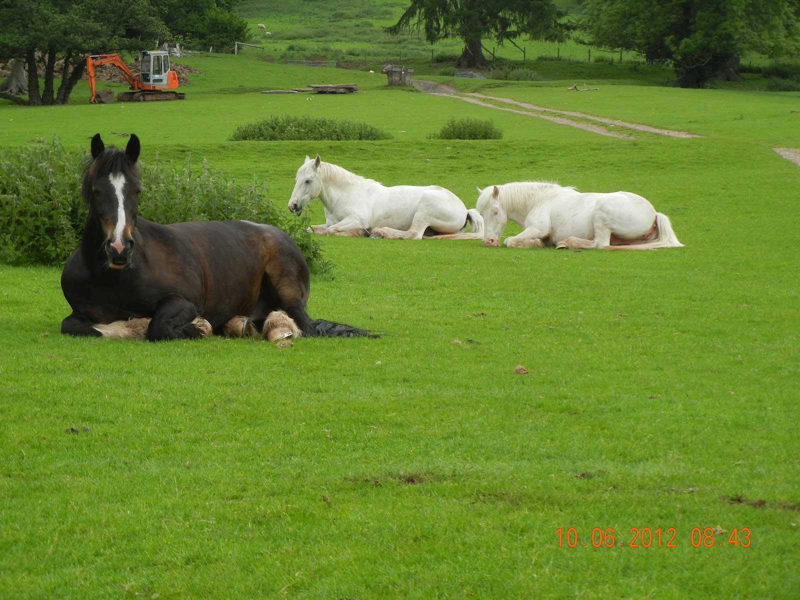 Tom's 2012/15 Walk from Land's End to John O'Groats Llanthony to Hay