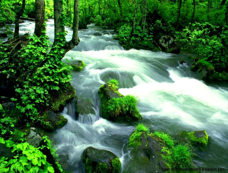 Alchemy of Touch When Touch Becomes Art What is Alchemy of Touch Alchemy of Touch When Touch Becomes Art What is Alchemy of Touch