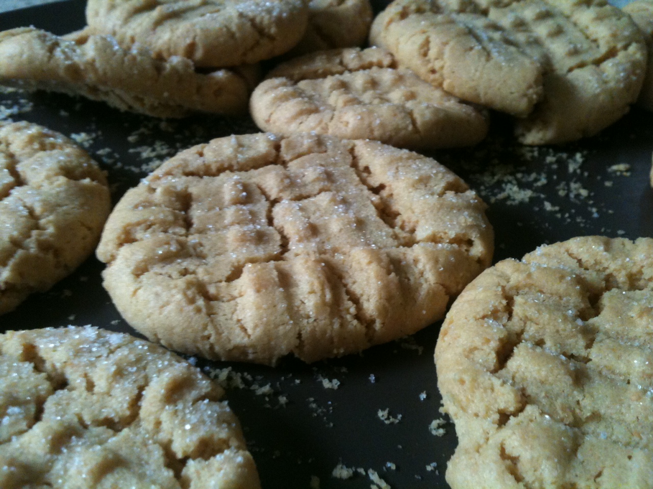 Gluten Free Low Glycemic Peanut Butter Cookie, no grains Skinny GF