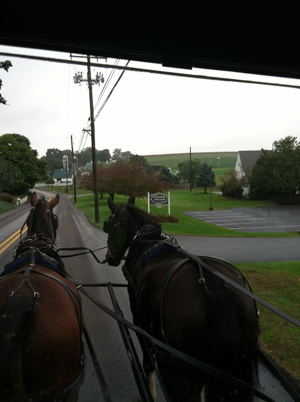 The Ultimate Life List LIFE LIST AMISH BUGGY RIDE