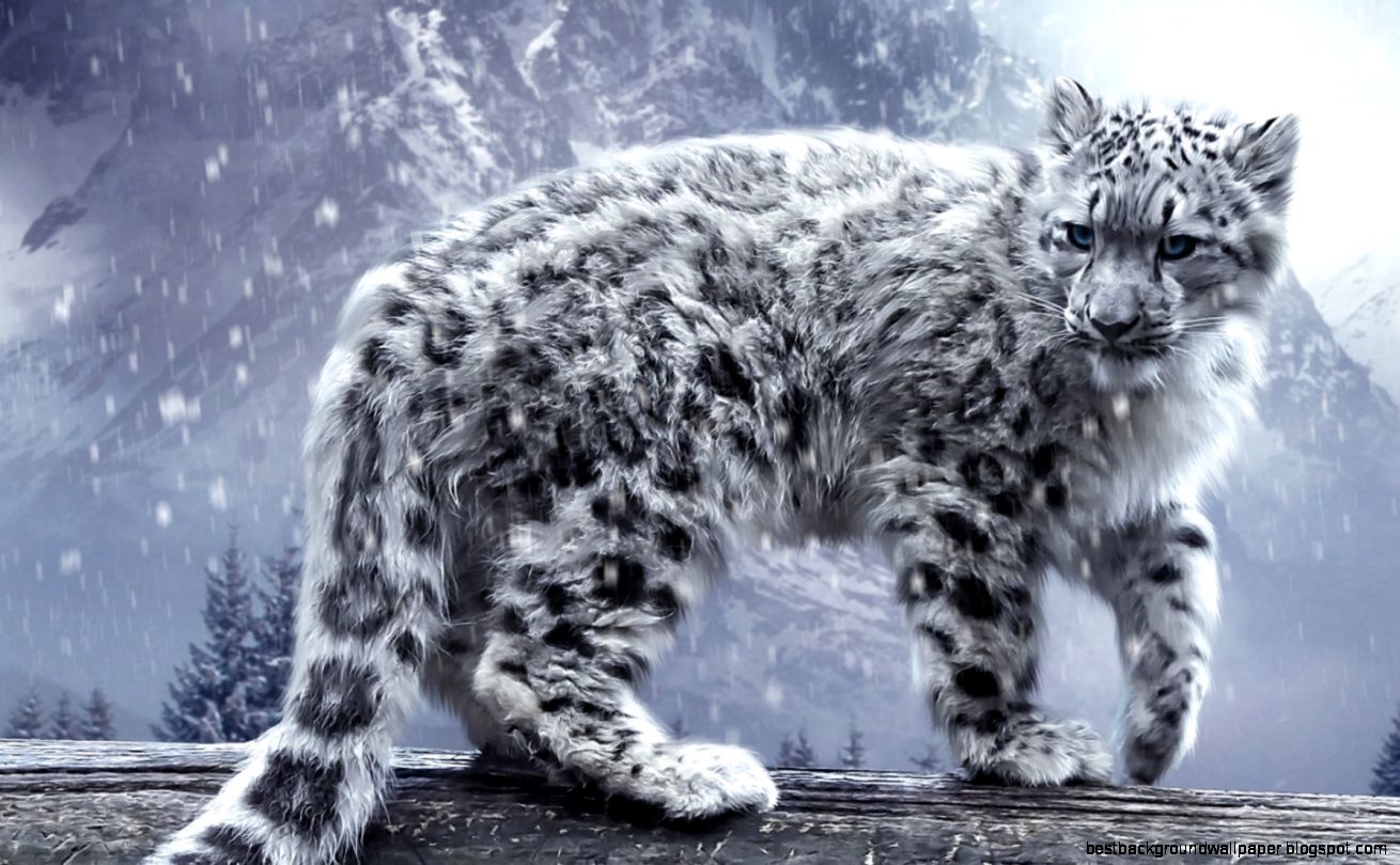 White Leopard Wallpapers HD Wallpapers White Leopard Wallpapers HD Wallpapers