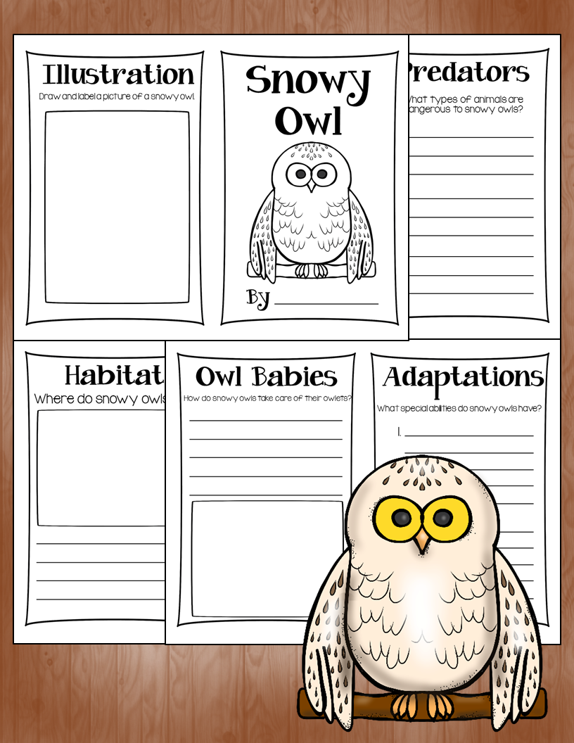 https://www.teacherspayteachers.com/Product/Owl-Research-Books-1515306