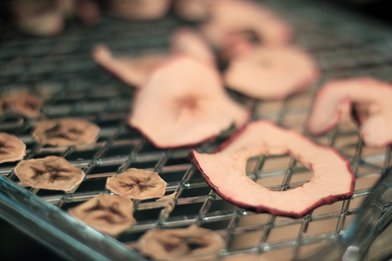 Homemade Dried Apple Chips Fit Foodie Finds