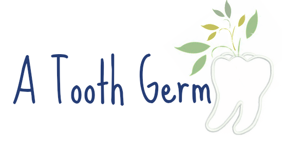 TOOTH GERM
