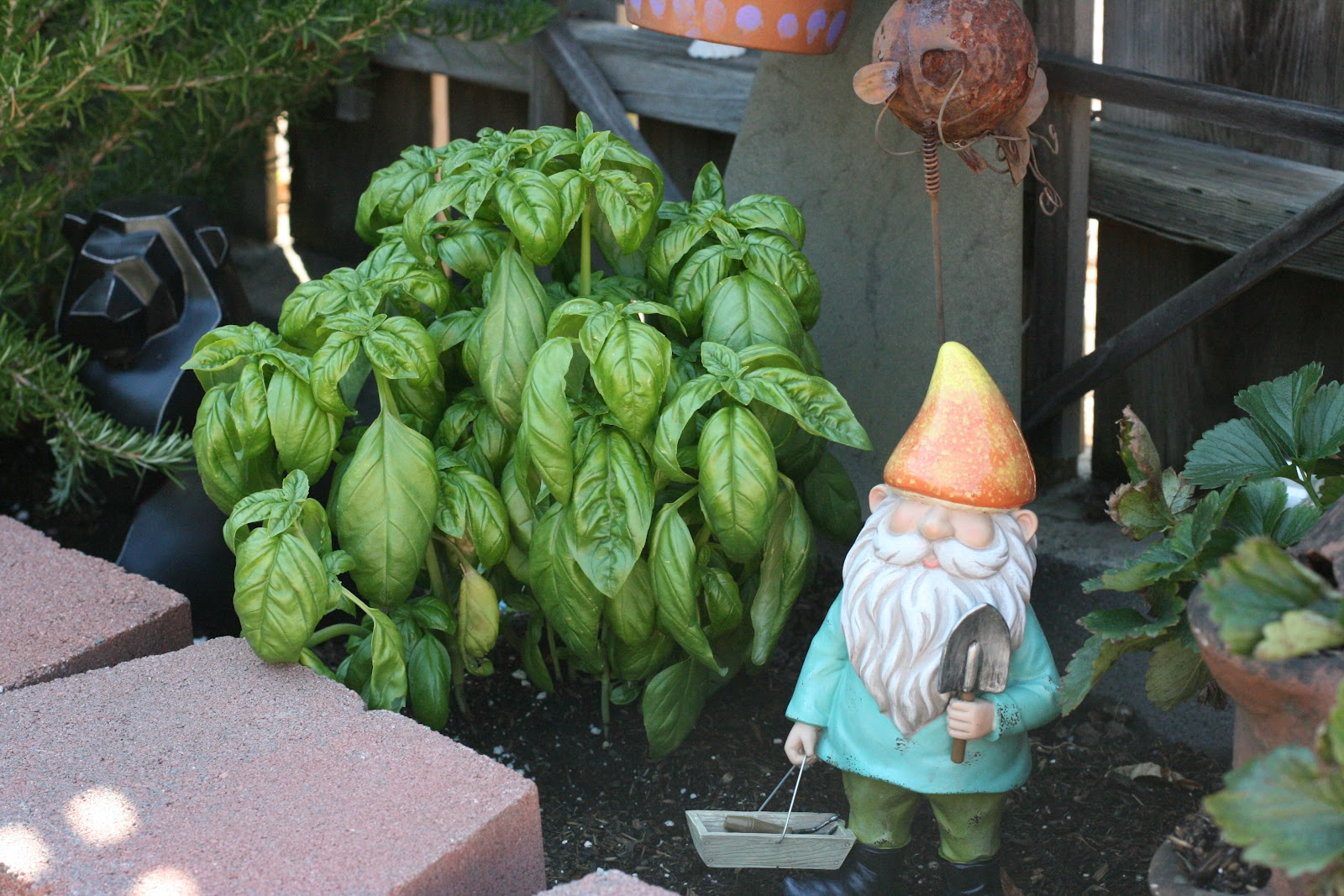 Basil Chicken with Feta Slow Cooker Recipe A Year of Slow Cooking