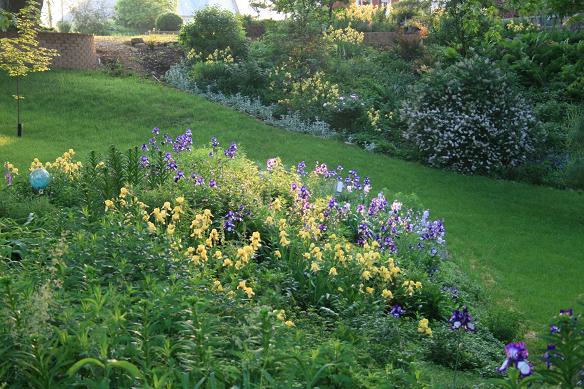 Amy's Creative Pursuits: Iris, Peonies, and other Spring Flowers