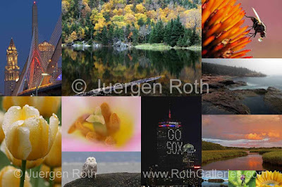 www.rothgalleries.com