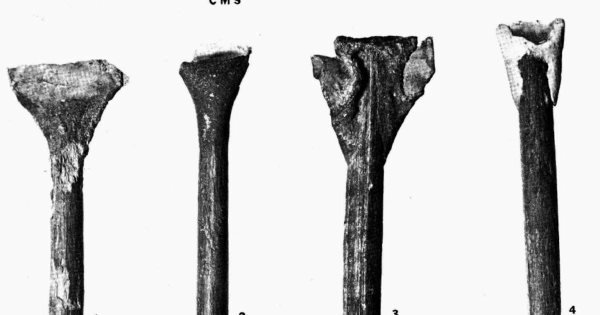 Bell Beaker Blogger African Origin of Bell Beaker Lithics (Part 3)