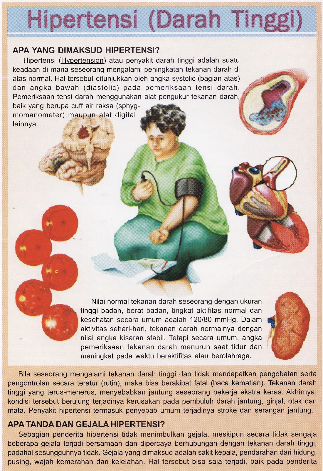 Rumah Sehat BOS: Pembuluh Darah : Hipertensi, Hipotensi, Kolesterol