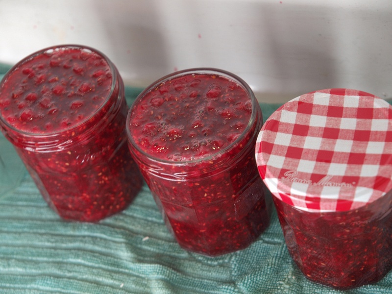 La Sapience Jam maken